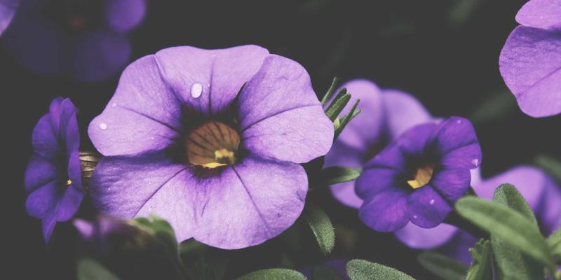 The Art of Academic Writing